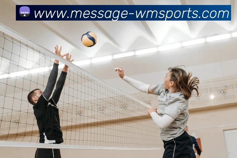 完美体育官网APP 高清赛事图